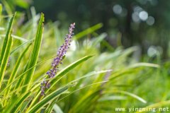 岳麓區高端網站建設的流程